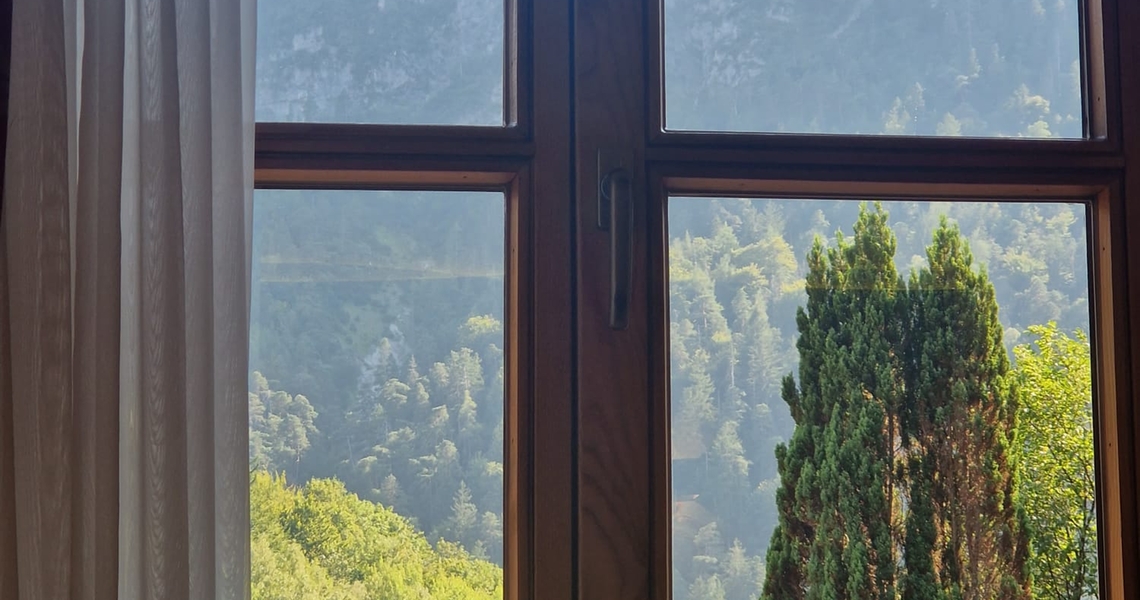 Fenster 3 Neu Berg 1